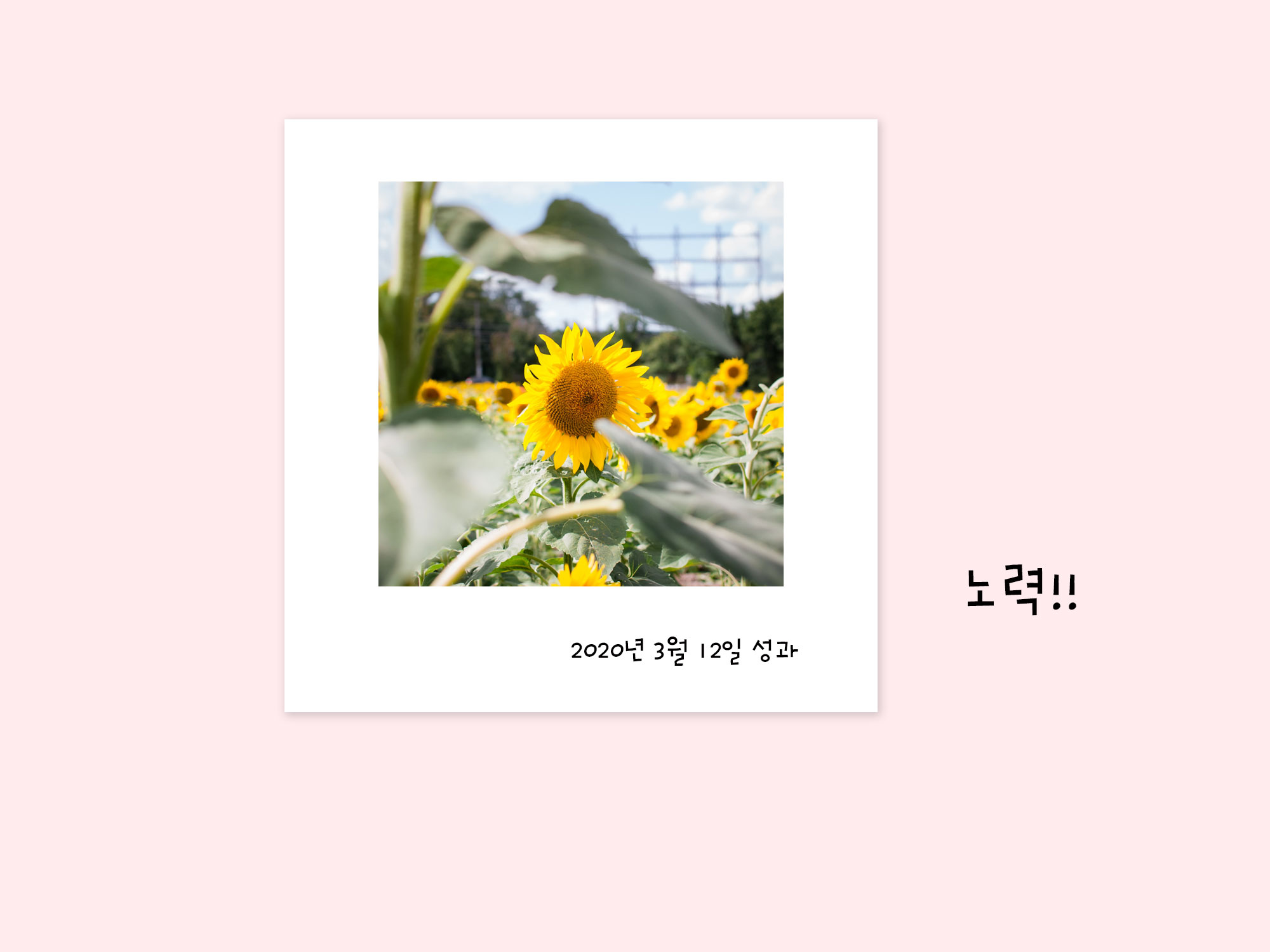 앨범이미지